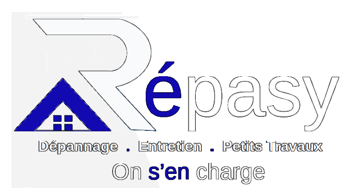 REPASY
